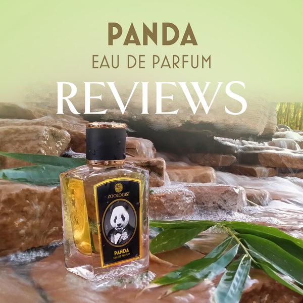 Reviews-Panda_600x.jpg?v=