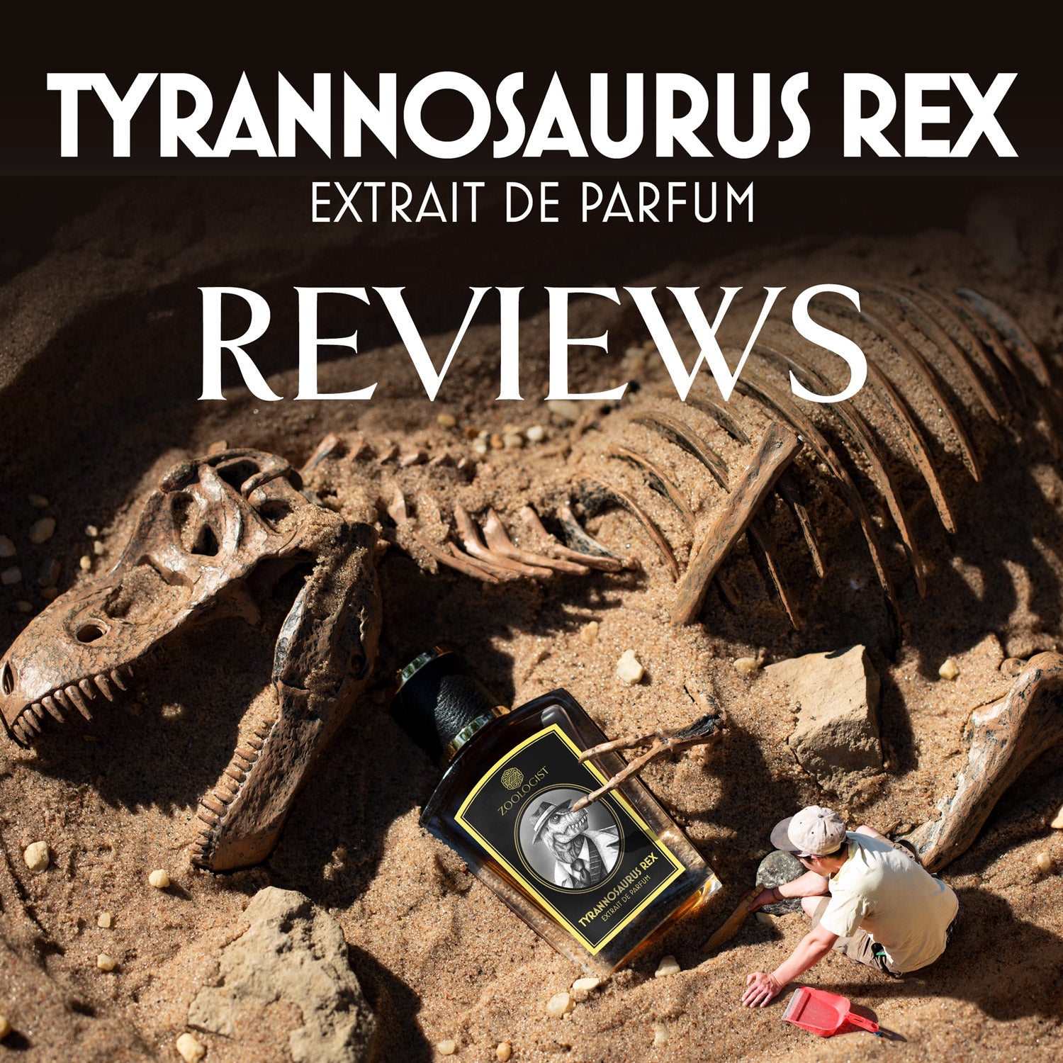 Zoologist Tyrannosaurus Rex Reviews Roundup