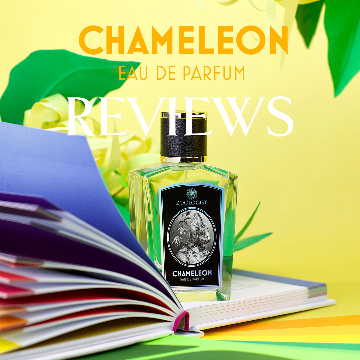 Zoologist Chameleon Reviews Roundup