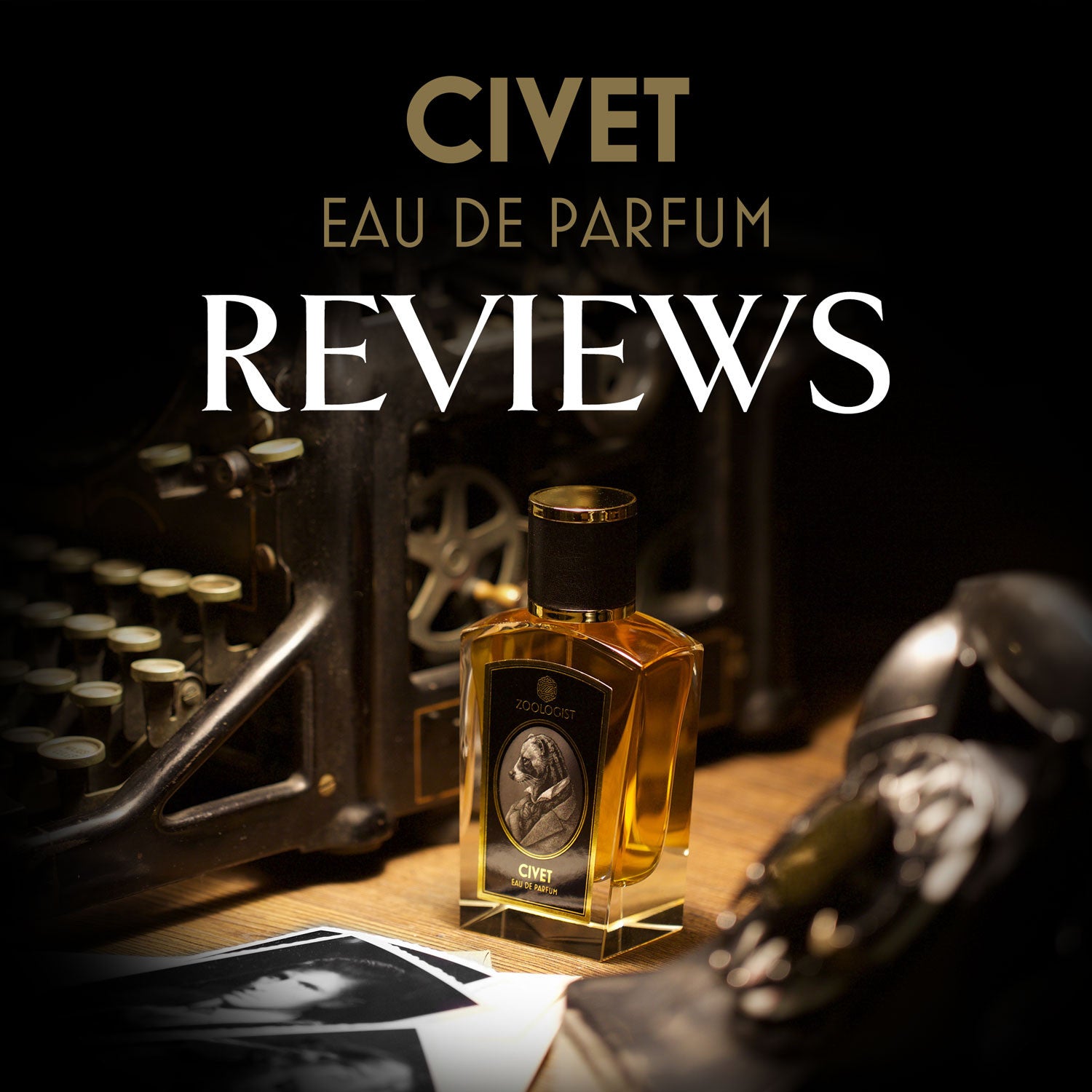 Zoologist Civet Reviews Roundup