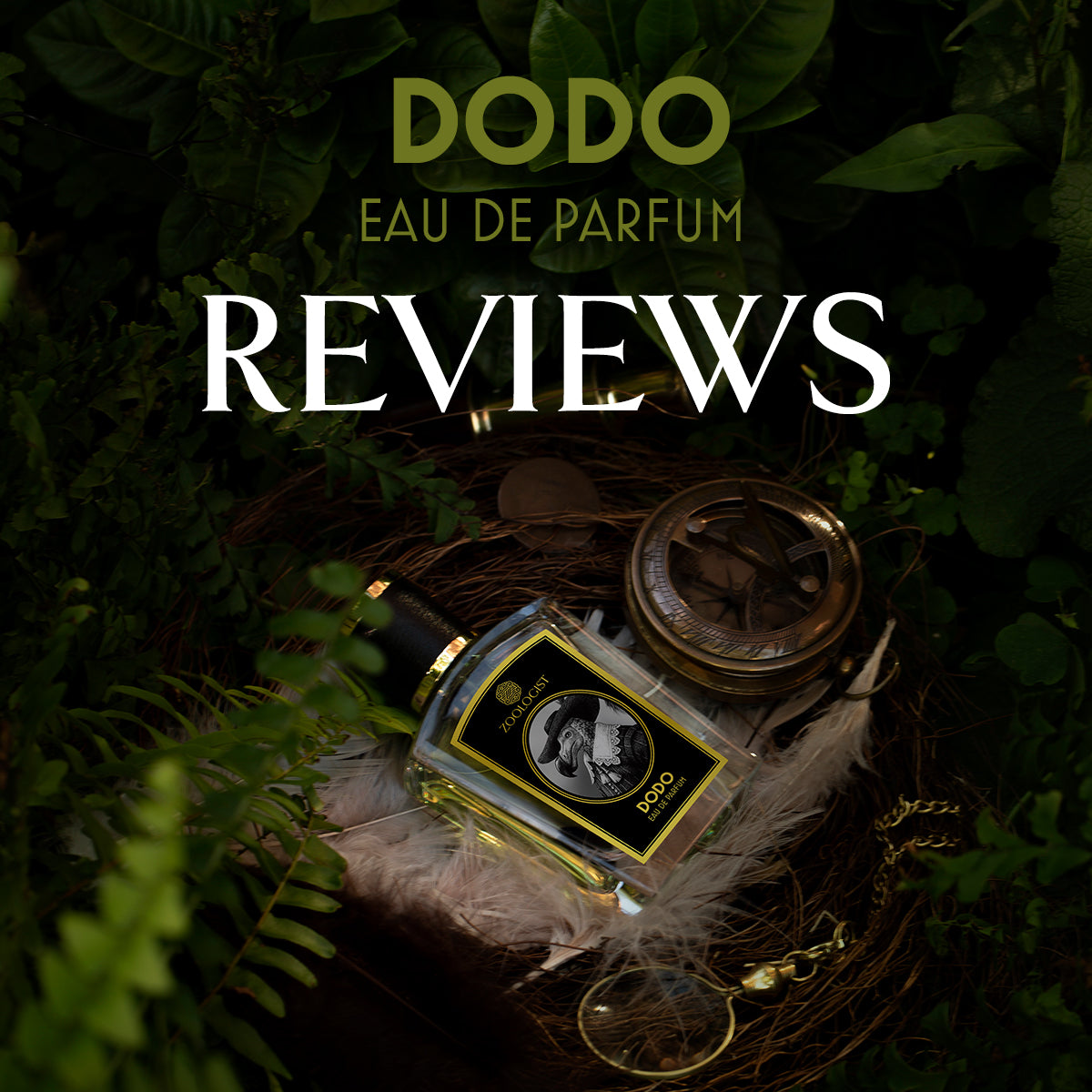 Zoologist Dodo Reviews Roundup