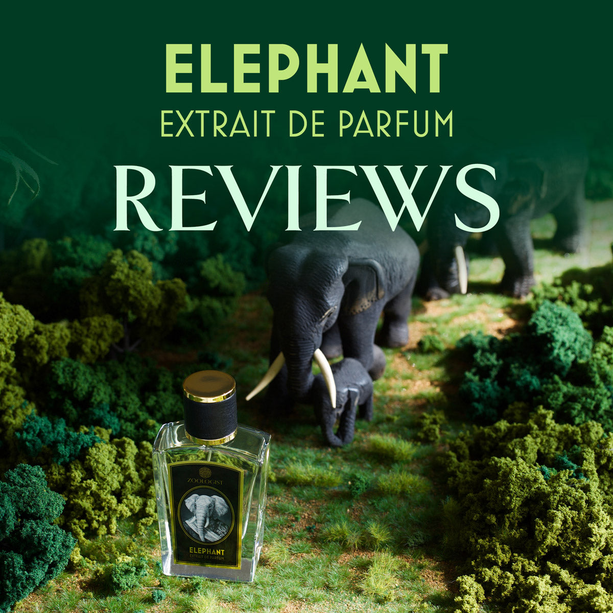 Zoologist Elephant Reviews Roundup