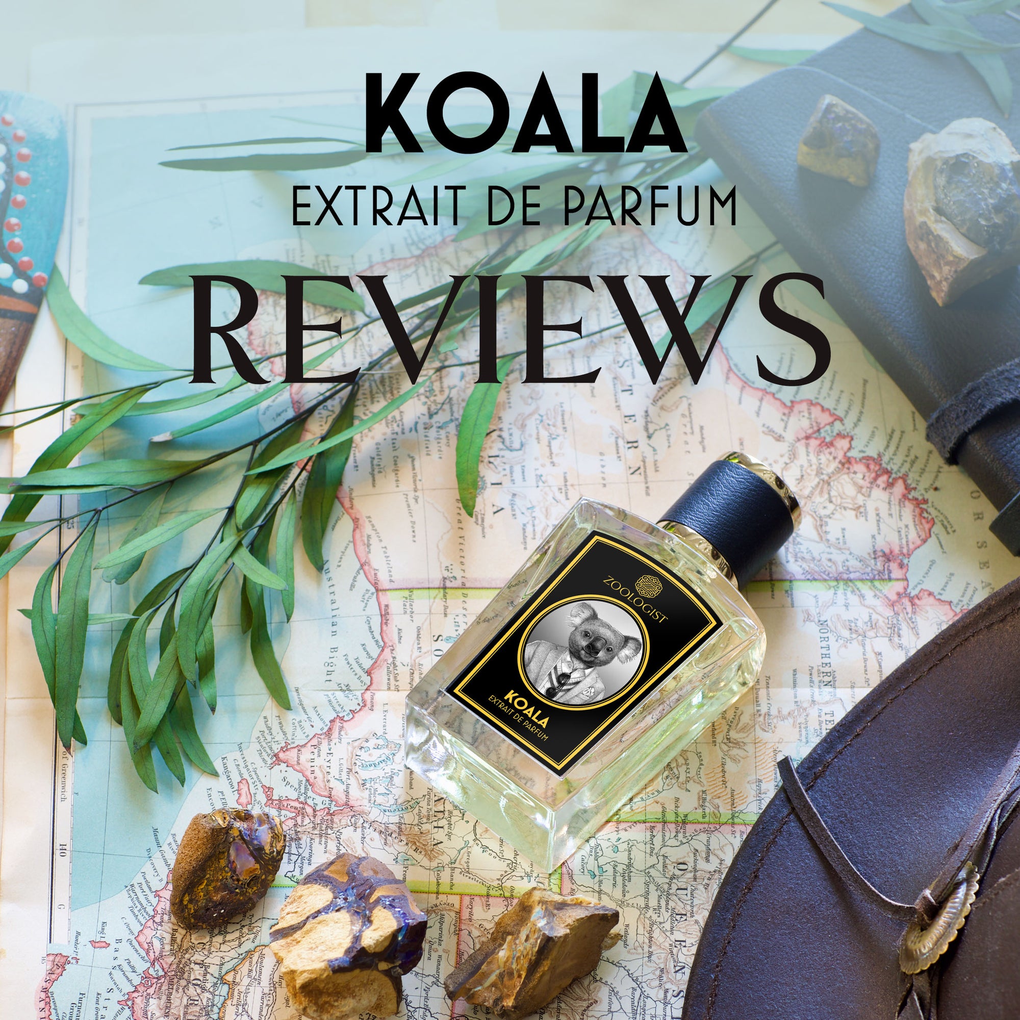 Zoologist Koala Reviews Roundup