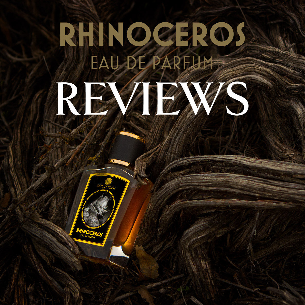Zoologist Rhinoceros Reviews Roundup