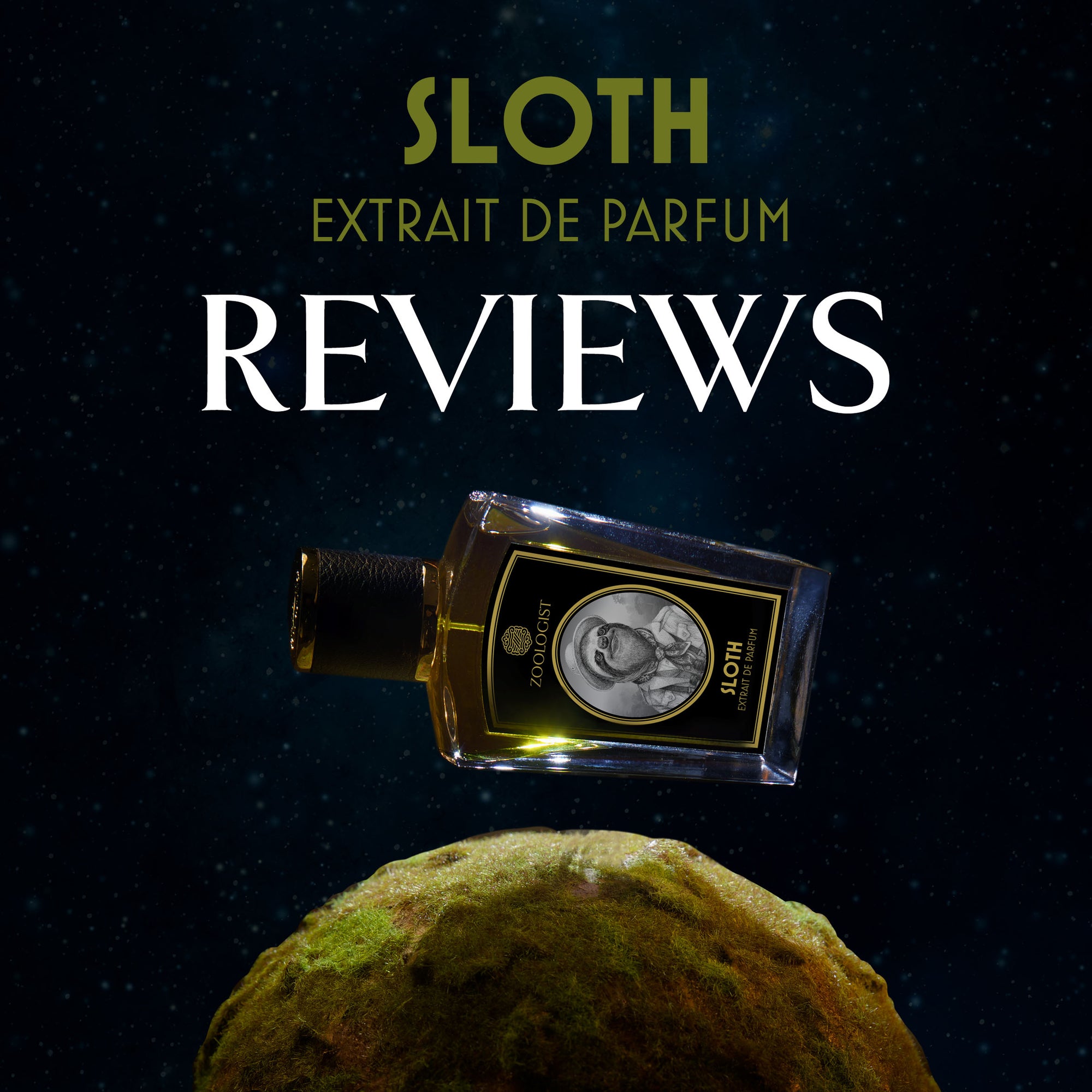 Zoologist Sloth Reviews Roundup