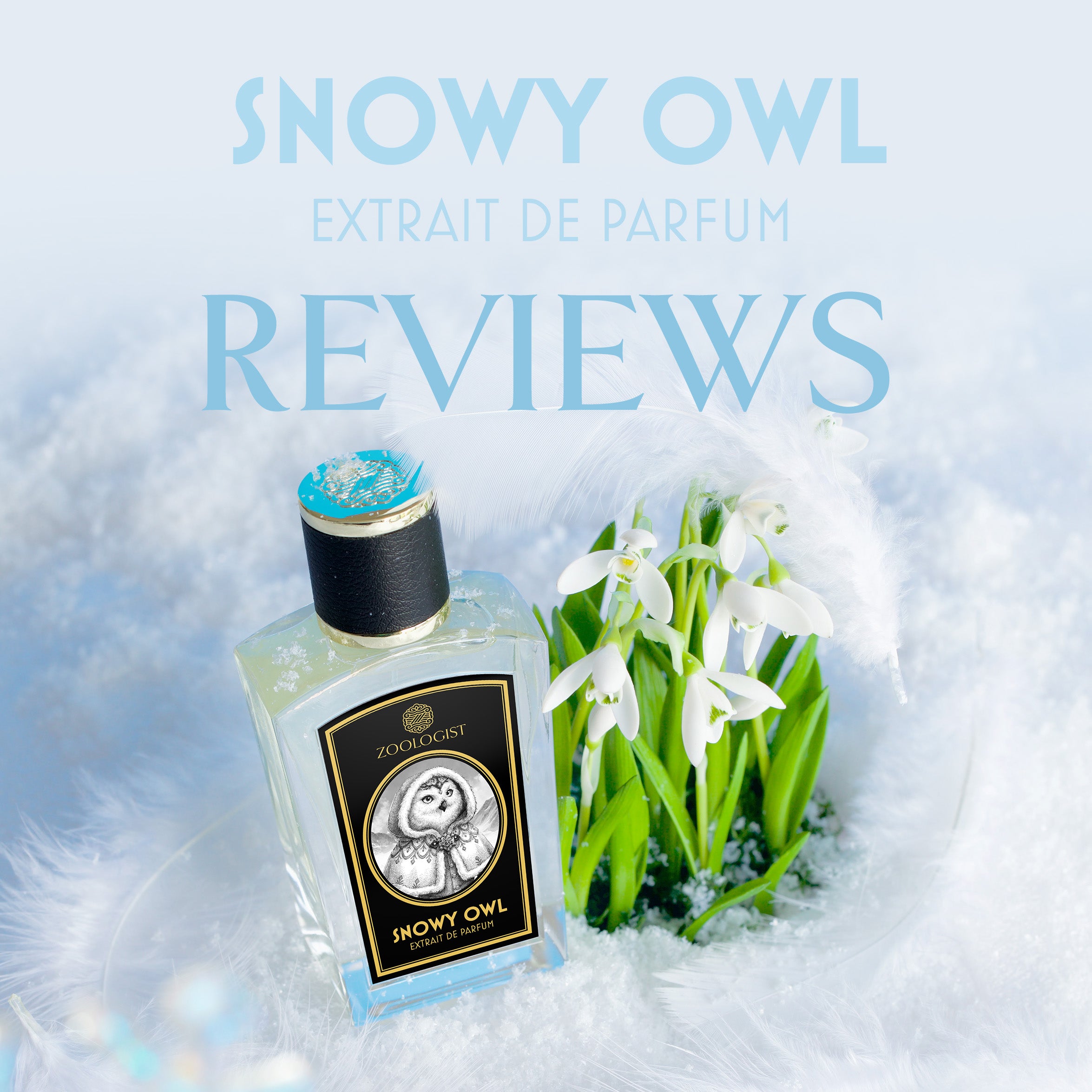 Snowy owl zoologist perfumes new arrivals