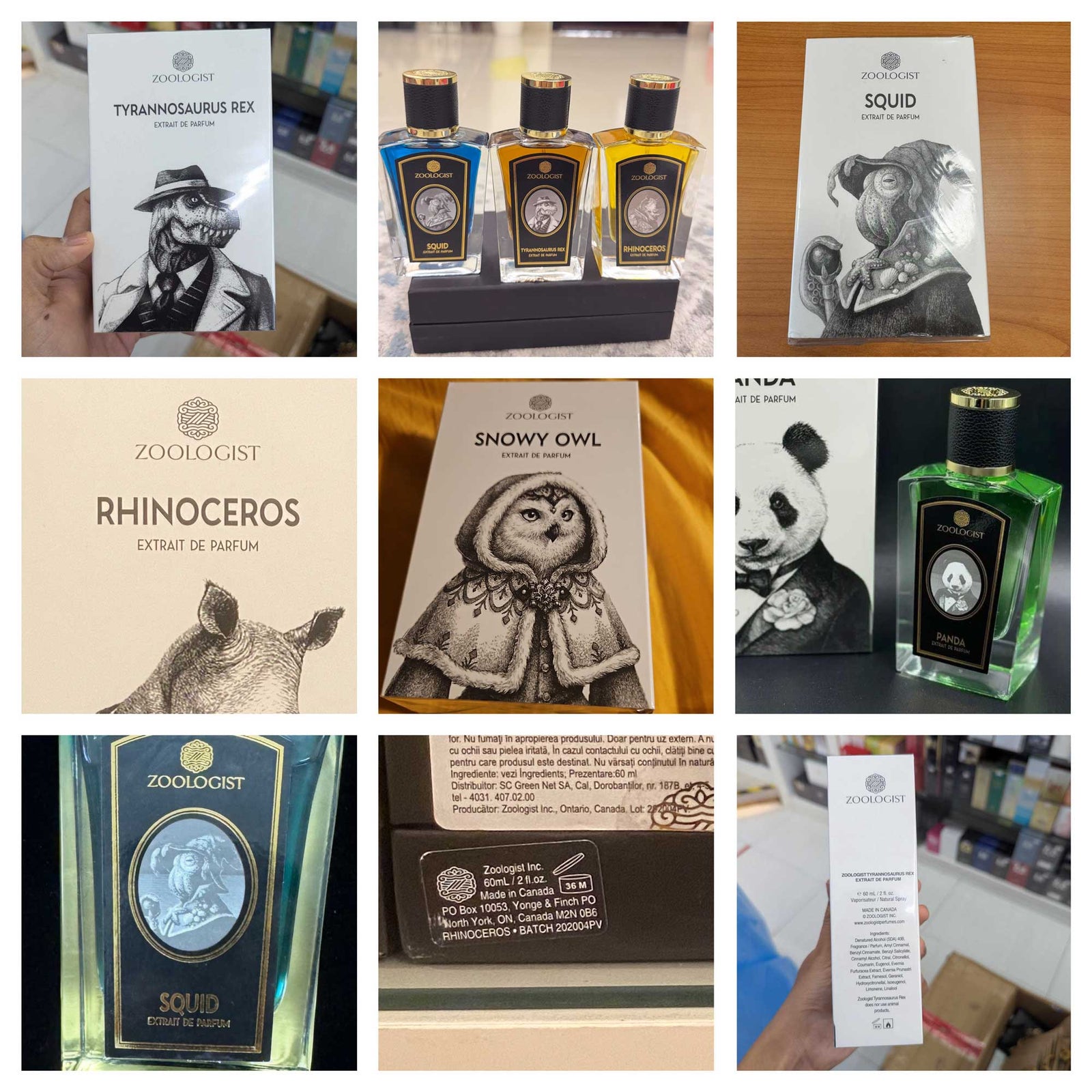 Zoologist Perfumes Blog Zoologist Perfumes Blog