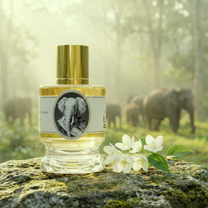 Zoologist Elephant Sanctuary Edition Deluxe Bottle