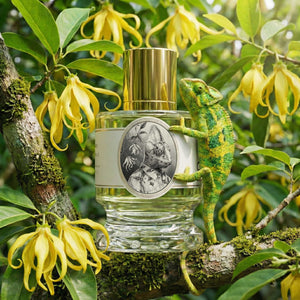 Zoologist Chameleon Tropical Blooms Edition Deluxe Bottle